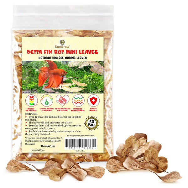 SunGrow 50 Pcs Mini Catappa Indian Almond Leaves for Betta Fish Aquarium, Shrimp, Frogs, Improves Habitat, Gives Tea Color, Helps in Lowering Aquarium Water pH, Improves Immunity, 2"