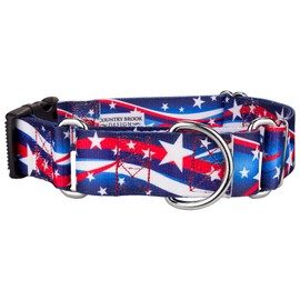 Country Brook Petz - Star Spangled Martingale with Deluxe Buckle - Americana Collection Featuring Patriotic Designs (1 1/2 Inch, Extra Large)