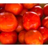 Markie’s Mom Tomato Heirloom Premium Seeds for Planting Packet
