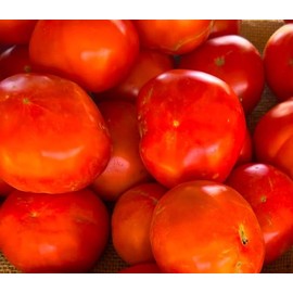Markie’s Mom Tomato Heirloom Premium Seeds for Planting Packet