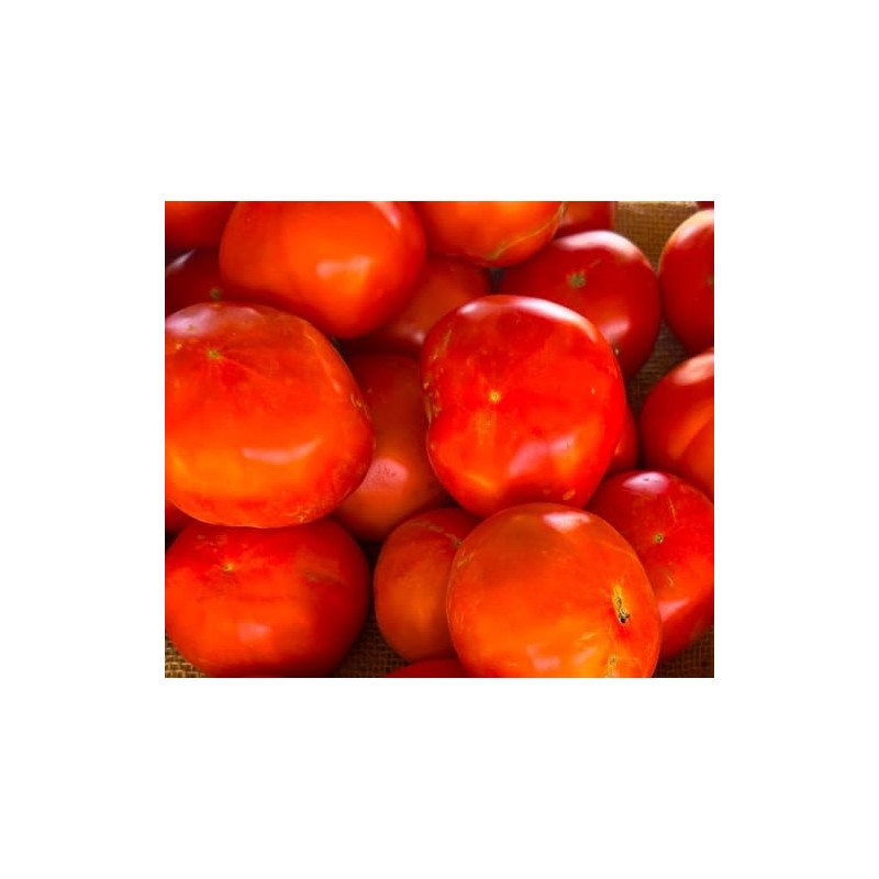 Markie’s Mom Tomato Heirloom Premium Seeds for Planting Packet