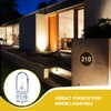 Honoson 1/4 Wedge Base 12V 5W Bulb Clear Krypton Light