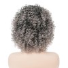 Grey Short Curly Wig for Black Women 70s 80s Afro