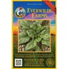 Everwilde Farms - 1 Oz Giant Noble Spinach Seeds -