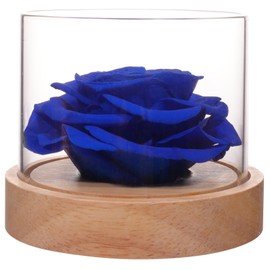 Home Scent Rose Real Fragrance Rose Last 4 Months Gifts for Women/Her Valentines Day Birthday