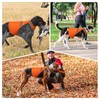 Orange Dog Vest High Visibility Safety, Dog Hunting Vest, Dog