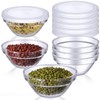 Teenyyou 6 Pieces Small Glass Dipping Bowls Set with Lid
