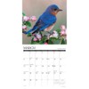 Willow Creek Press, Backyard Birds 2026 Wall Calendar, 12'' X