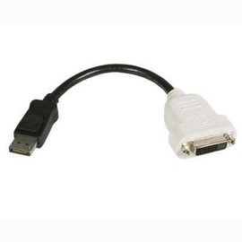 DP2DVIMM10 10' DisplayPort to DVI