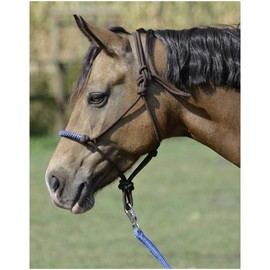 Busse Knot Halter Glint