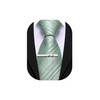 Barry.Wang Sage Green Silk Men Ties Formal Stripes Necktie Solid