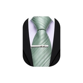 Barry.Wang Sage Green Silk Men Ties Formal Stripes Necktie Solid Color Tie Clip Wedding Party Business Fashion Classic