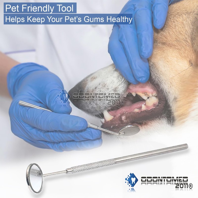 OdontoMed2011 Dental Mouth Mirror #5 Stainless Steel with Handle, Dentist