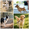 ElevateTech Metal Dog Collar Safety Clip 2 Pack Stainless Steel