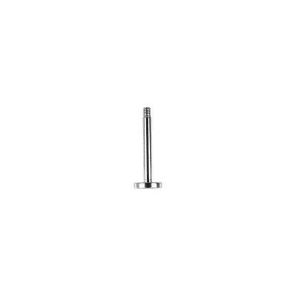 PIERCINGLINE Surgical Steel Labret | Without Attachment | Piercing Replacement