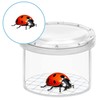 12 Pack Magnifying 12 Pcs Bug Hunting Kits for Children,