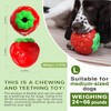 TLKNG Dog Chew Strawberry Toy - Puppy Stuffable Freezable Toy