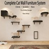 MIUZMORE Cat Wall Shelves, 10-Piece Complete Cat Wall Furniture System
