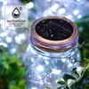Mason Jar Solar Lights 30 LED,10 Pack Hanging Solar Mason