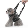 Cat Vest Harnesses Leash Adjustable Breathable Stylish Multifunctional Pet Walking