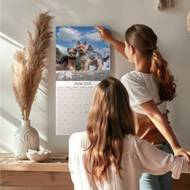 2024 2025 Yorkshire Terrier Calendar - Dog Breed Monthly Wall Calendar - 12 x 24 Open - Thick No-Bleed Paper - Giftable - Academic Teacher's Planner Calendar Organizing & Planning - Made in USA