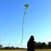 Yiranzide Giant Snake Kite - 50ft Single String Beach Kite
