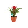 Wyndham House 4-Piece Watering Globe Set, Colorful Hand-Blown Glass Plant