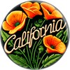 California Golden Poppies - 1.5 Inch Pin-on Button