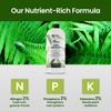 Fern Fertilizer for Greener Growth and Dense, Resilient Fronds, 16oz