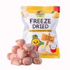 Thappy Fruit Freeze Dried Rambutan Stuffed with Pineapple Delight –