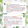BOTANICAL PEEL ボタニカルカーミングセラム