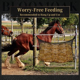 Bloomoak Knotless Slow Feed Hay Net with 4 Carabiner Clips for Horses/Open Top Hanging Hay Bag with Large Capacity for Full Day Feeding/Trailer (1.2" Hole for Ultra Slow Feed/ 2PCS, M 35 * 31")…