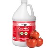 Bloom City Professional Grade Ultra Pure Cal-Mag Growing Fertilizer,Gallon (128
