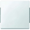 Merten 343119 Wippe, polar white, AQUADESIGN