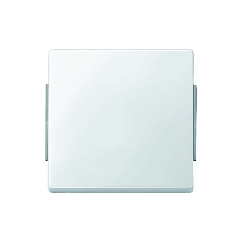 Merten 343119 Wippe, polar white, AQUADESIGN