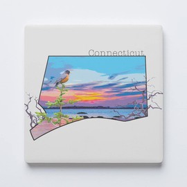 Connecticut State Coaster, Joyride Home Decor, Single Ceramic Coaster, 4-inch Individual Square Drink Coaster, Non-Slip Cork Back, Protects Surfaces, Express Your Style.