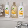 Dr Organic Vitamin E Conditioner, Dry & Fine Hair, Natural,