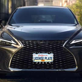 HCSS Turtle License Plate Frames - 2 Pack Beach Shell Animal License Plate Holder, Stainless Steel Rust-Proof Waterproof Car Decorative Tag Frame for Standard US 12x6 Inch