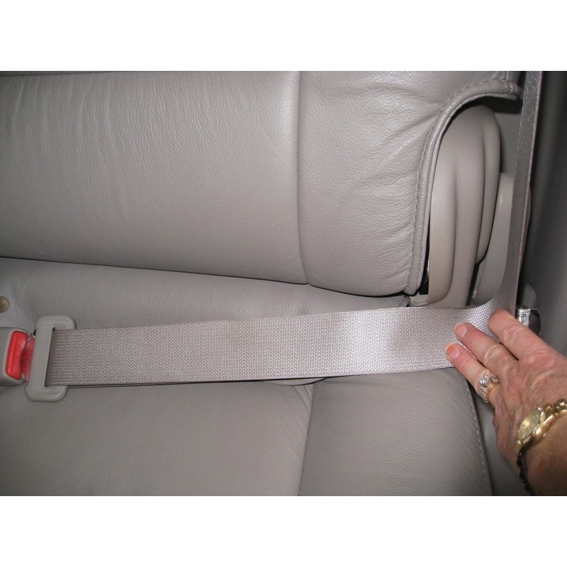 PawRider Tether Pet Leash, Black