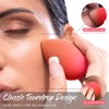 BEAKEY Makeup Sponge Set 5 Pack Micro Porous Low Absorption