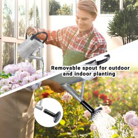 Megawodar 1 Gallon Metal Watering Can with Removable Spout, Nice Galvanized Steel Water Can for Indoor and Outdoor Plants (House Plants)