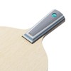 Butterfly Table Tennis Racket Viscaria CS Chinese Style Penhold Attack