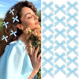 SAWINDA 20PCS Blue Mini Hair Bow Clips Gingham Craft Small Bows for Hair Cute Hair Bows Hair Ribbon Bowknot Barrettes Sweet Alligator Hair Clips Accessories for Teens and Girls