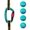 25KN Professional Climbing Carabiner Screw Locking Gate Carabiner Heavy Duty