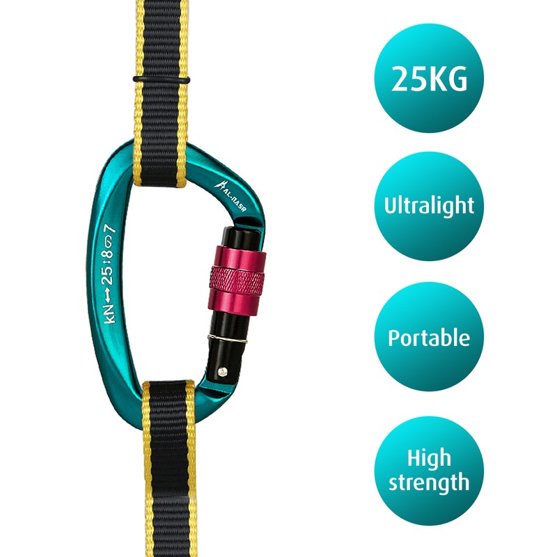25KN Professional Climbing Carabiner Screw Locking Gate Carabiner Heavy Duty