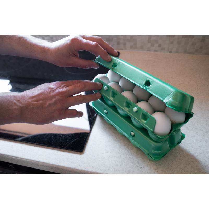 Nipter Egg Box 10 Eggs, Polystyrene Egg Box, Egg Packaging,