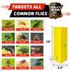 LULUCATCH Sticky Fly Trap Indoor, 10 Pack Hanging Flies Catcher