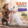 EasyGroomer Deshedding Brush for Dogs Cats | Purple | Undercoat
