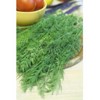 KIRA SEEDS - Seeds Mushroom's Dill - Heirloom Vegetable -