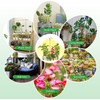 Monehet 2Pcs Plant Grow Light, Full Spectrum, Brightness Adjustable, Auto